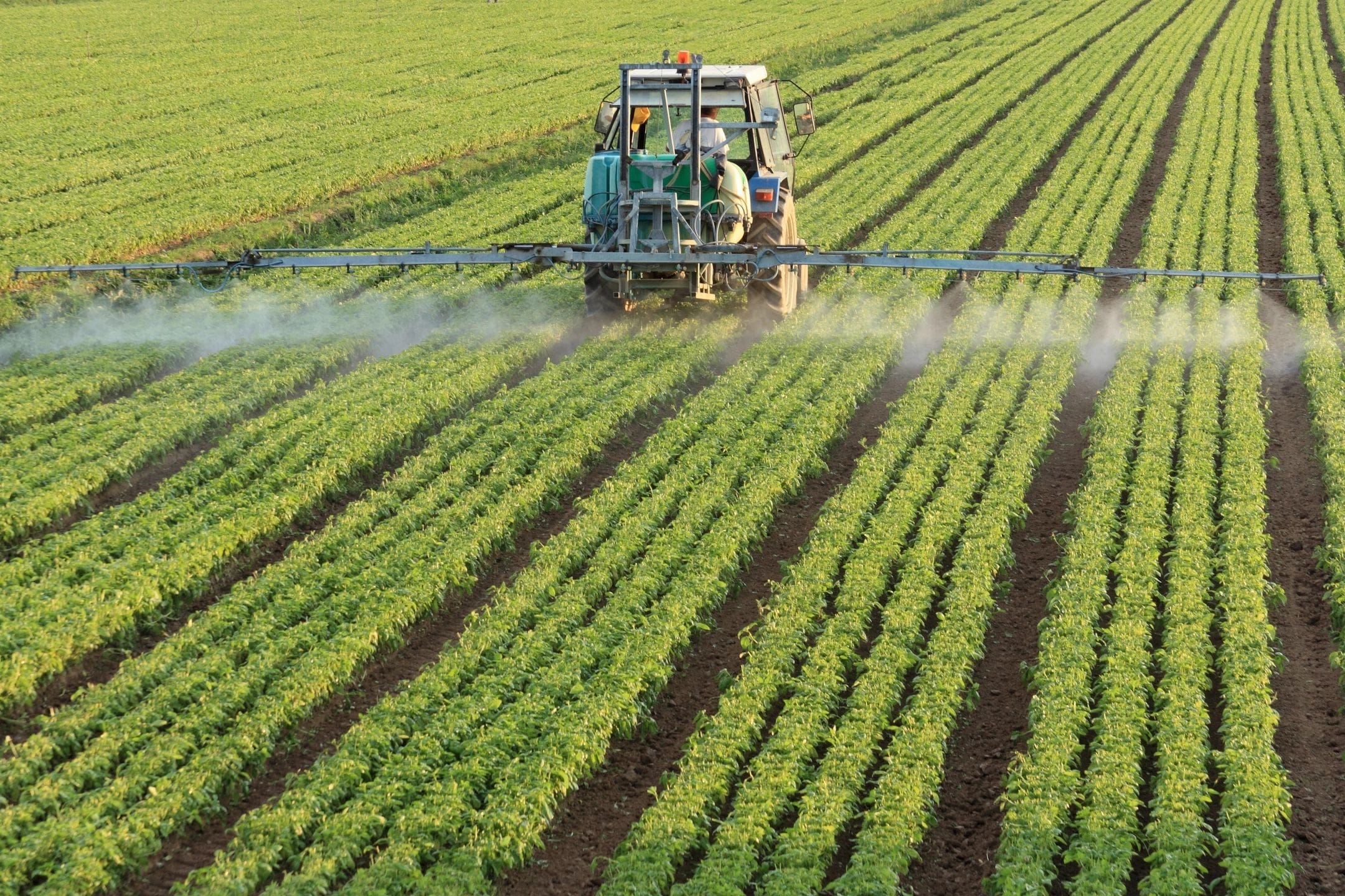 A tractor spraying crops with a sprayer.